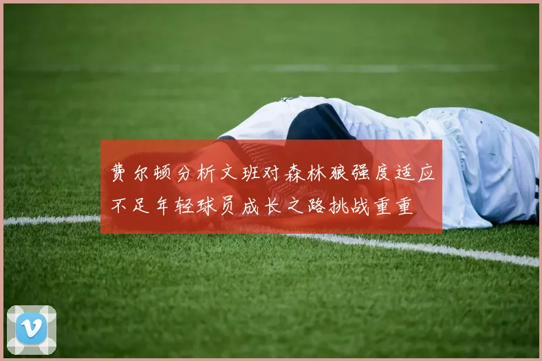 费尔顿分析文班对森林狼强度适应不足年轻球员成长之路挑战重重